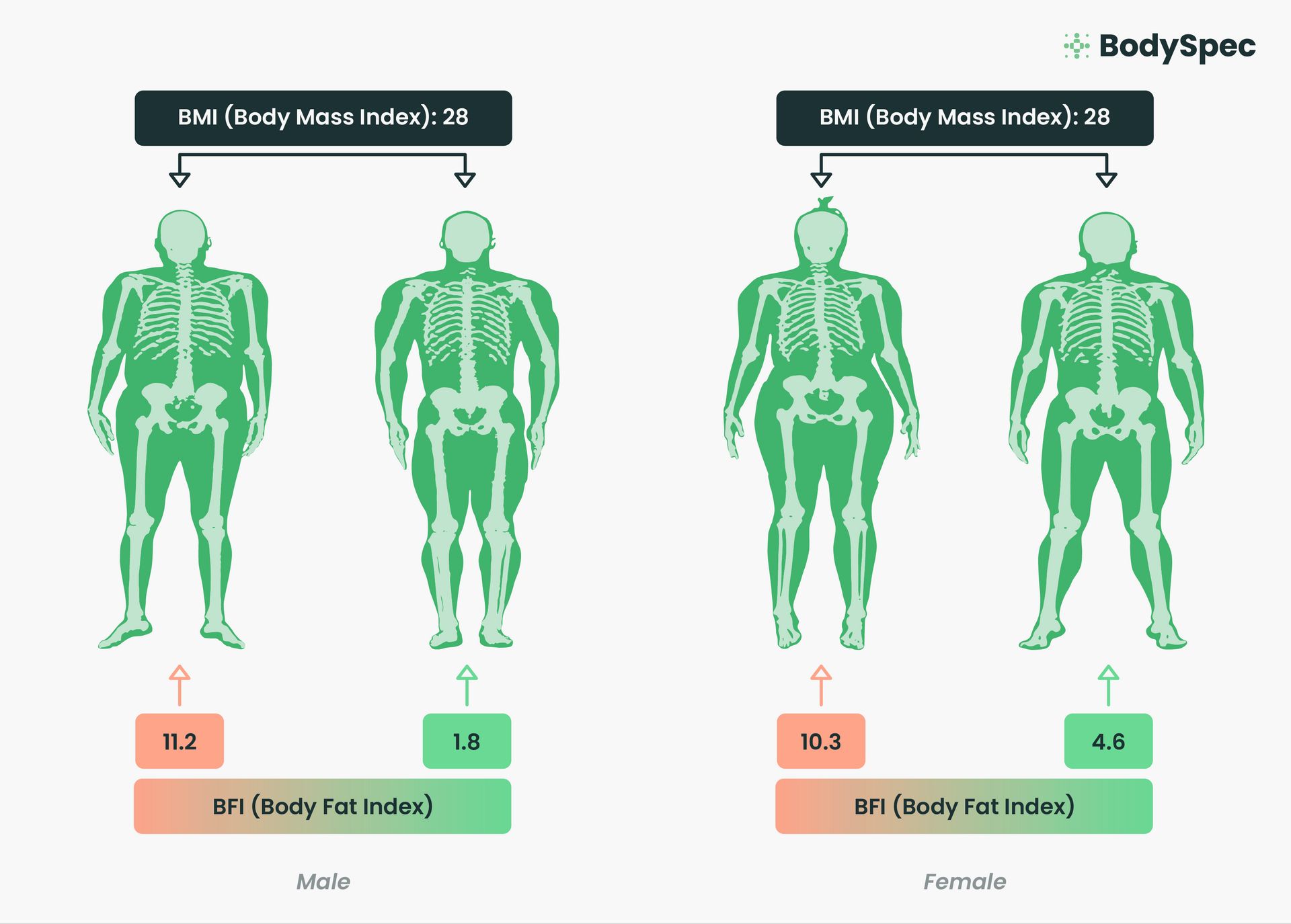 BodySpec's BFI: A more accurate measurement of health compared to BMI 